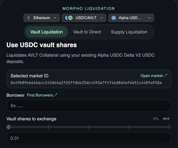 A screenshot of a 'Morpho Liquidation' interface for using USDC vault shares on Ethereum, showing options for Vault Liquidation, Vault to Direct, and Supply Liquidation.