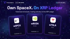 A promotional graphic for Tokenized Equities by tZERO showcases the ability to "Own SpaceX, On XRP Ledger" via tokenized stocks ($SPCX, $NVDA, $TSLA) issued on the XRP Ledger, which contrasts with the accompanying post's claim that Russia has signed a Clarity Act equivalent to build crypto payment infrastructure and move away from the dollar, highlighting the global race toward blockchain-based financial systems.