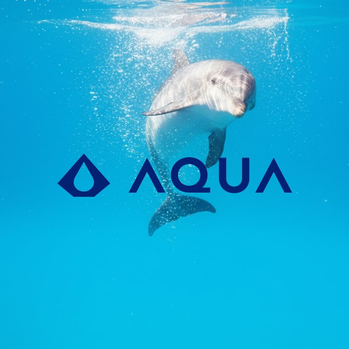 A dolphin gracefully swims underwater behind the AQUA logo, evoking the brand's fluid, privacy-focused approach to Bitcoin transactions.

The image reinforces the post's message: just as a dolphin glides unseen through the ocean depths, AQUA helps your Bitcoin transactions stay hidden from public view by routing them through Liquid for enhanced wallet privacy.