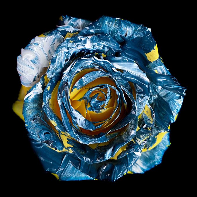 An abstract digital artwork shows a rose-like form painted in thick strokes of blue, white, and yellow against a black background.