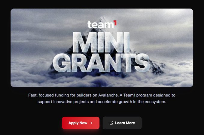 The image is a promotional banner for "Team1 Mini Grants" featuring bold text over a misty mountain backdrop, with a description stating "Fast, focused funding for builders on Avalanche. A Team1 program designed to support innovative projects and accelerate growth in the ecosystem," along with "Apply Now" and "Learn More" buttons. This relates to the post, which announces a Mini Grant application submission from Stronghold to Team1 for building on Avalanche's C-chain.