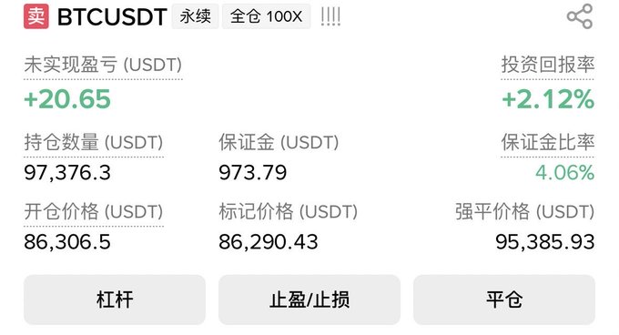 A cryptocurrency trading interface showing a short position on BTCUSDT perpetual contract with 100x leverage, displaying an unrealized P&L of +20.65 USDT (+2.12% ROI) on a position size of 97,376.3 USDT with margin of 973.79 USDT and a margin ratio of 4.06%.