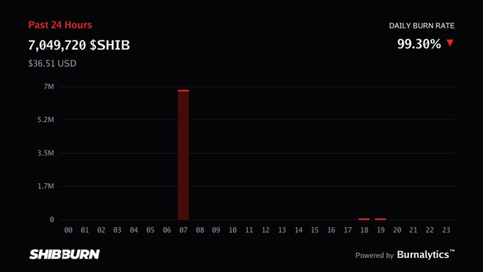 A Shiba Inu burn rate dashboard from Shibburn showing 7,049,720 $SHIB burned in the past 24 hours, totaling $36.51 USD, with a daily burn rate of 99.30% and powered by Burnalytics.