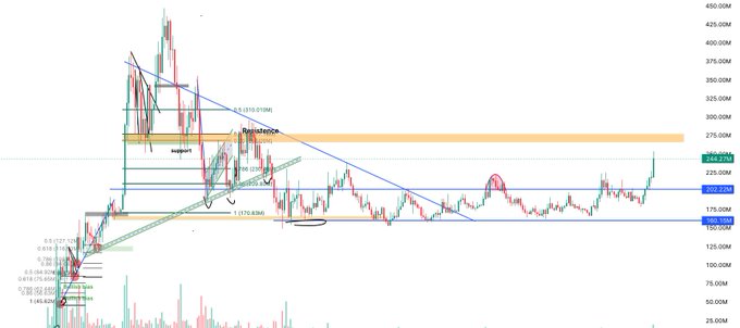 A cryptocurrency price chart shows a recent breakout above key resistance levels, with the current price near 262.27M and annotations marking "support" and "Resistance" zones around 170-300M, aligning with the post's note that 260M is the biggest resistance before ATH.