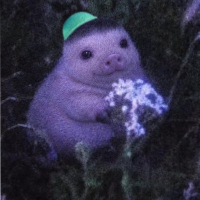 A low-quality image of a chubby, purple-toned creature resembling a baby seal or manatee with a green cone on its head, holding what appears to be snow or sparkly flowers in a dark setting.