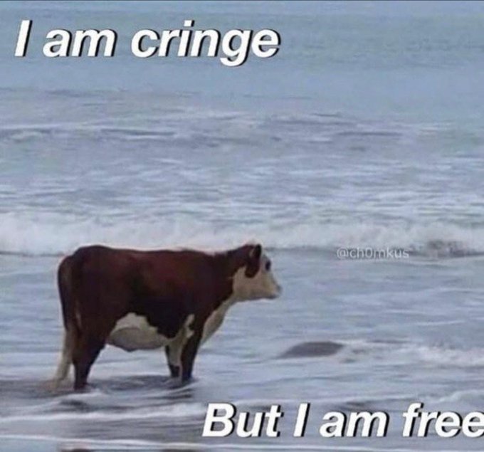 A cow stands alone in the ocean surf, captioned "I am cringe" at the top and "But I am free" at the bottom, with a watermark "@ch0mkus."

The meme captures the cow's carefree yet awkward beach moment—relatable to the post's humorous check-in with "Carla" by embodying that self-aware "cringe but free" energy of embracing your weird side.