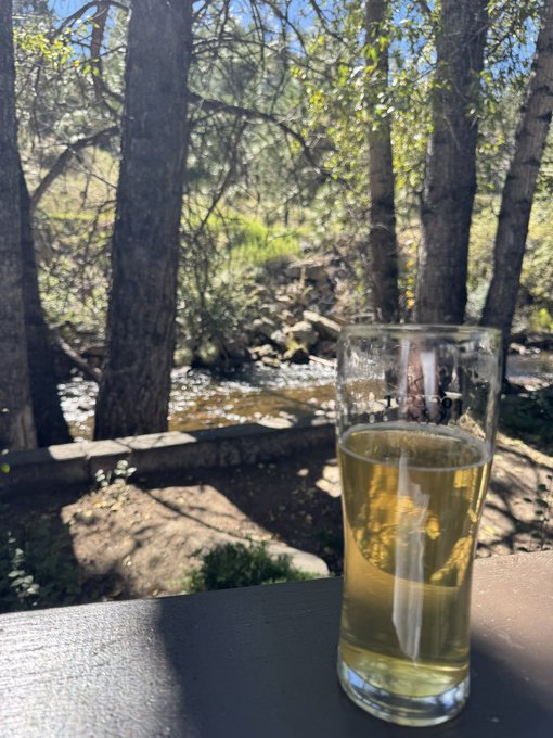 A pint glass filled with golden beer sits on a dark ledge overlooking a sunny forest scene with a stream, trees, and rocks.