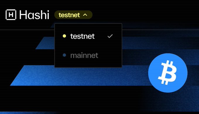 A Hashi website navigation menu shows “testnet” selected with a checkmark above “mainnet,” next to a large blue Bitcoin logo.