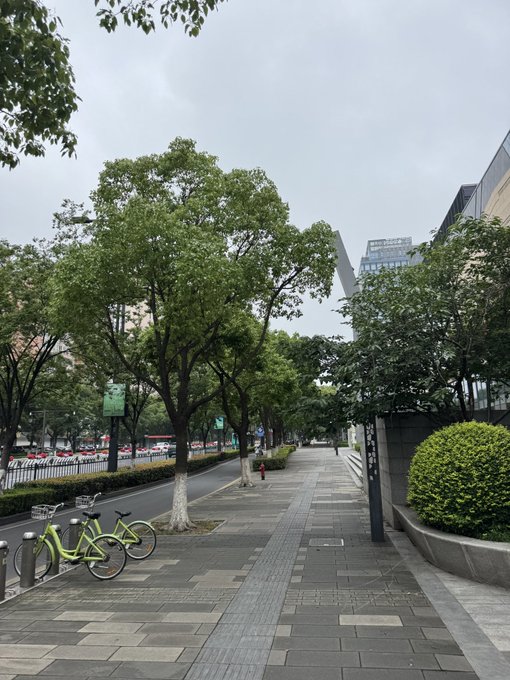 The image shows a city street with two bicycles parked next to each other, one green and one yellow. The scene also includes trees lining the sidewalk, buildings in the background, and cars driving down the road. A sign can be seen on the side of the street, possibly providing information or directions for pedestrians and cyclists.
