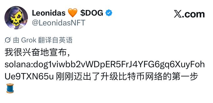 A screenshot of a tweet from user 'Leonidas (💰 $DOG)' (@LeonidasNFT) written in Chinese, announcing an update regarding a Solana address starting with 'solana:dog1viwbb2vWDpER5FrJ4YFG6gq6XuyFohUe9TXN65u'.