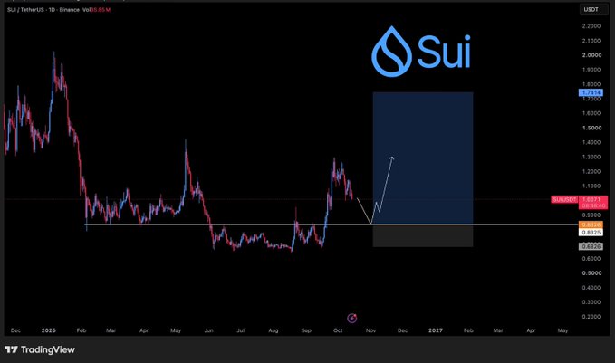 A TradingView chart for SUI/USDT on Binance showing price action with technical analysis annotations, displaying a current price around 1.2618 USDT.