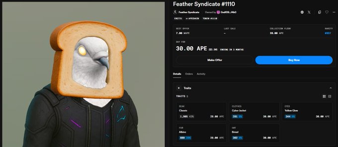 A marketplace listing for 'Feather Syndicate #110' priced at 30.00 APE, showing a character with a toasted bread slice and bird head wearing a dark jacket, with traits including Classic, Cyber Jacket, and Yellow Glow.