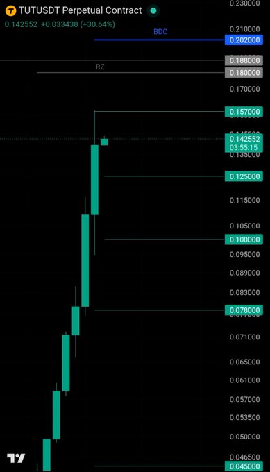 A TradingView candlestick chart of the TUT/USDT Perpetual Contract shows a strong bullish run, with price climbing from ~$0.045 up to $0.142552 (+30.64%), currently testing resistance near the BDC level at $0.202000 above. The chart highlights key zones marked BDC, RZ, and several support/resistance levels as $TUT continues its upward trajectory.