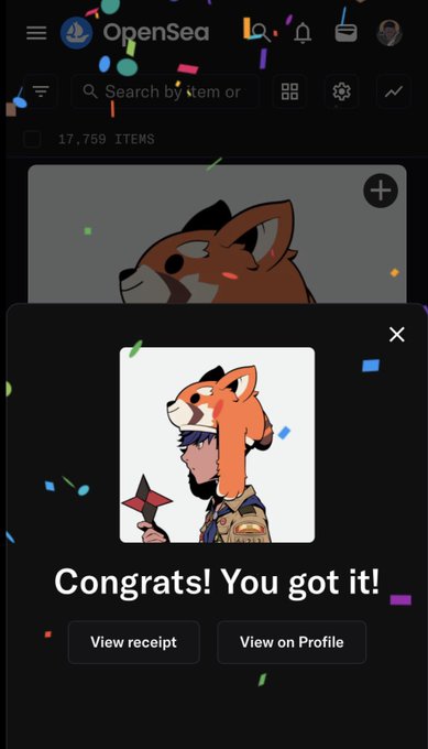 An OpenSea NFT purchase confirmation showing 'Congrats! You got it!' with a cartoon image of a character wearing an orange animal hood holding a shuriken, with confetti animations.