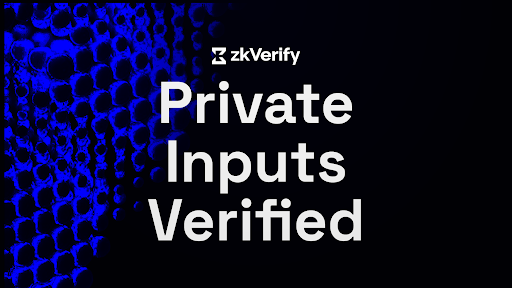 A black graphic with blue abstract patterning and large white text reading “Private Inputs Verified,” with the “zkVerify” name and logo above it.