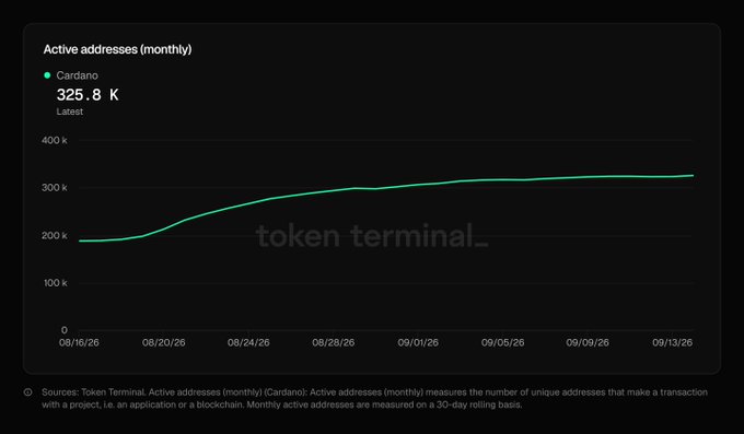 A line chart from Token Terminal displays Cardano's monthly active addresses, showing a steady increase from around 200K in mid-August to 325.8K by September 13, 2026.