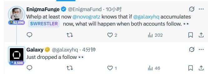 A Twitter exchange where @EnigmaFund writes 'Whelp at least now @novogratz knows that if @galaxyhq accumulates $WRESTLER now, what will happen when both accounts follow 👀', to which @galaxyhq replies 'Just dropped a follow 👀'.