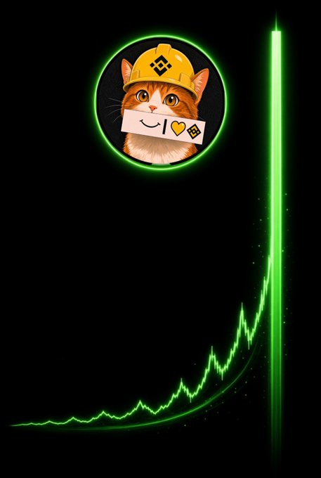 A stylized graphic features an orange cat wearing a yellow construction hard hat with a crypto logo, positioned above a glowing green rising price chart.