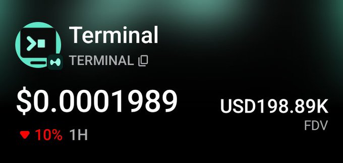 The image displays a cryptocurrency listing for "Terminal" (TERMINAL) with a price of $0.0001989, a 10% decline in the past hour, and a fully diluted valuation (FDV) of $198.89K. This relates to the post criticizing the Hyperliquid team for not promoting quality projects like Terminal on their platform, contrasting it with Robinhood's founder actively promoting meme coins and NFTs that reach high market caps.