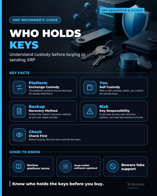 An XRP Beginner's Guide infographic titled 'WHO HOLDS KEYS' explaining custody concepts including Platform Custody, Self Custody, Backup Recovery Method, and Key Responsibility, with a final note to 'Know who holds the keys before you buy' credited to @stedas.
