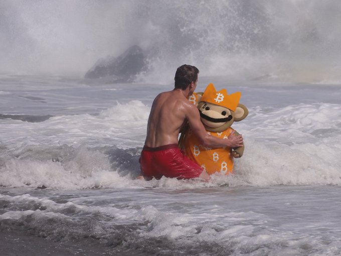 A man in red swim trunks holds onto an orange Bitcoin mascot figure while standing in ocean waves.