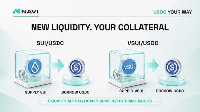 A promotional graphic for the NAVI protocol showing 'NEW LIQUIDITY. YOUR COLLATERAL' with options to supply SUI or vSUI and borrow USDC, noting 'LIQUIDITY AUTOMATICALLY SUPPLIED BY PRIME VAULTS'.