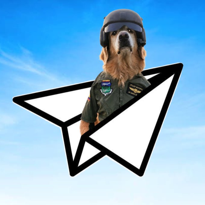 A golden retriever dressed as a pilot wearing a flight helmet, goggles, and military flight suit with patches, superimposed over a black paper airplane icon against a blue sky background.