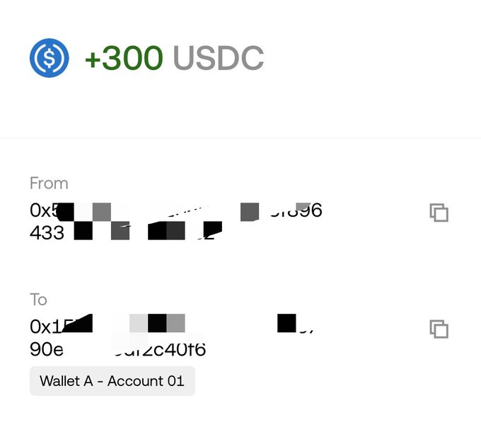 A USDC transfer of +300 showing transaction details between two wallet addresses (sender starting with 0x5 and recipient with 0x1F) labeled 'Wallet A - Account 01'.