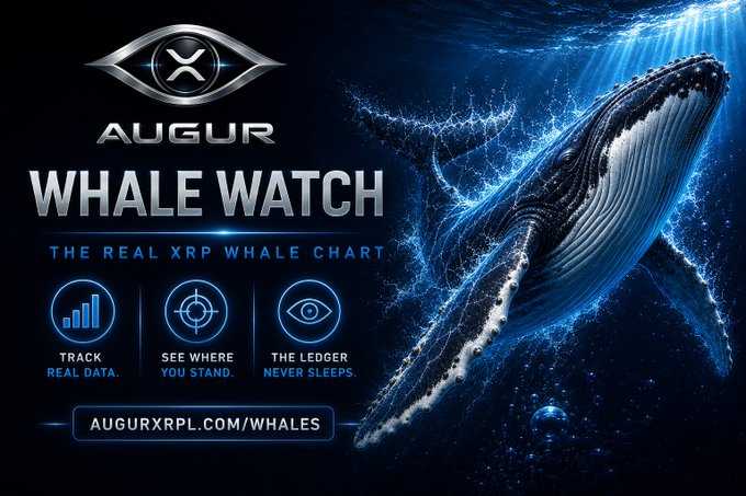 A promotional graphic for Augur's "Whale Watch" featuring a dramatic underwater image of a humpback whale, with text reading "AUGUR WHALE WATCH – THE REAL XRP WHALE CHART" and the URL "AUGURXRPL.COM/WHALES," alongside three icon callouts: "Track Real Data," "See Where You Stand," and "The Ledger Never Sleeps." The image directly supports the post's message about the $XRP leaderboard and whale-tracking dashboard.