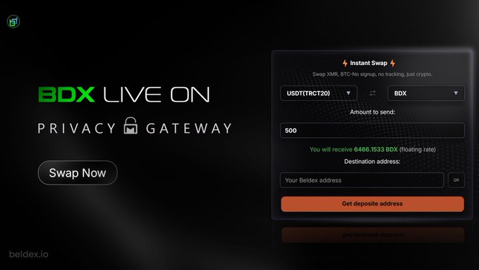 A promotional banner for 'BDX LIVE ON PRIVACY GATEWAY' with a 'Swap Now' button, alongside an 'Instant Swap' interface for exchanging USDT(TRC20) to BDX tokens on beldex.io.