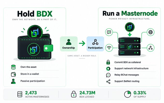 Infographic for the BDX cryptocurrency explaining 'Hold BDX' (Own the asset, Store in a wallet, Passive participation) versus 'Run a Masternode' (Commit BDX as collateral, Support network infrastructure, Relay BChat messages, Support BelNet routing), showing 2,473 Active Masternodes, 24.73M BDX Locked, and 0.33% of Supply.