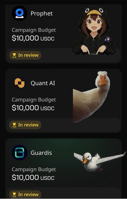 The image shows a list of campaigns for sale with different campaign budgets, including one featuring a duck character. The campaigns are displayed in a tabular format, allowing users to compare their options easily. The post also mentions that there will be a review of these campaigns soon and suggests that the results might be announced on Wednesday.