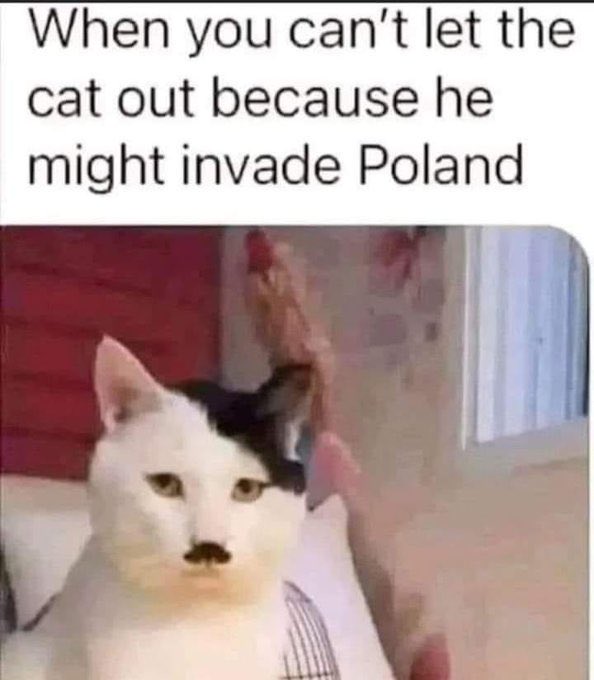 A meme featuring a black and white cat with a Hitler-style mustache and a human hand saluting, captioned 'When you can't let the cat out because he might invade Poland'.