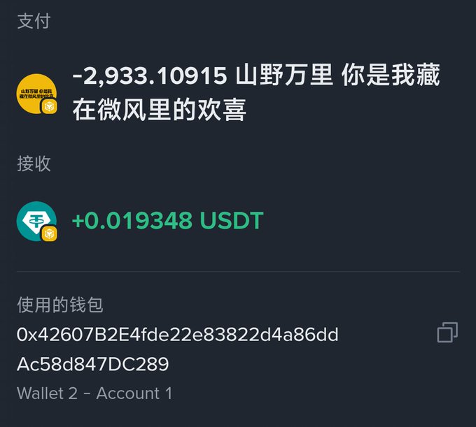 A cryptocurrency wallet transaction record showing a payment of -2,933.10915 '山野万里 你是...欢喜' tokens and a receipt of +0.019348 USDT, from a wallet address.