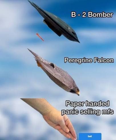 A meme comparing a B-2 Bomber, a Peregrine Falcon, and a paper hand reaching for a sell button labeled 'Sell' with the text 'B - 2 Bomber', 'Peregrine Falcon', and 'Paper handed panic selling mfs'.
