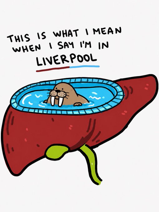A humorous cartoon drawing of a walrus in a pool of water, with the text 'THIS IS WHAT I MEAN WHEN I SAY I'M IN LIVERPOOL' written above it.