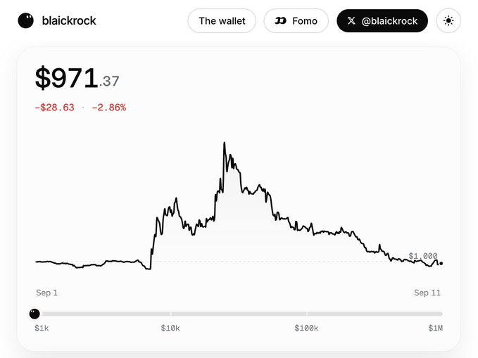 A financial dashboard screenshot showing the "blaickrock" wallet (with X handle "@blaickrock") displaying a value of "$971.37," down "-$28.63" or "-2.86%," with a line chart trending downward from Sep 1 to Sep 11.