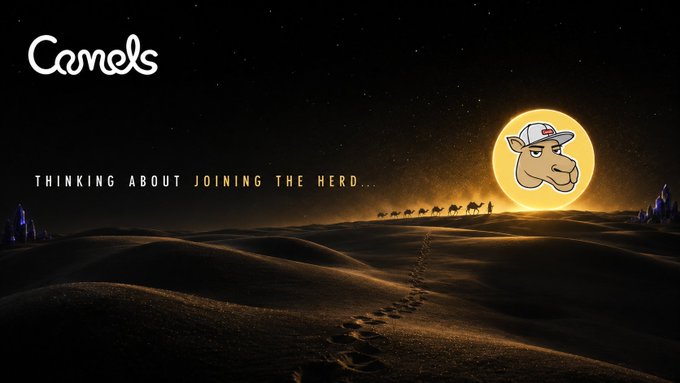 An advertisement features the 'Camels' logo with a cartoon camel head wearing a white cap, set against a desert night scene with the text 'THINKING ABOUT JOINING THE HERD...'.