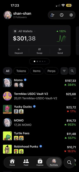 A mobile screenshot of a crypto wallet app shows a portfolio named "shan-shan" with a total balance of $301.38 and a 132% increase, listing assets like Momo, TermMax USDC Vault V2, and Yucky Ducks.