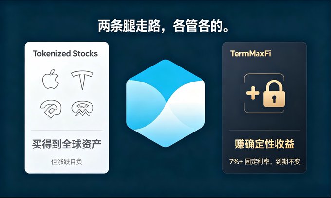 The image features a blue hexagon with an apple logo, a white hexagon with a lock symbol, and a black square with a term maximi fi logo. The text "TermMaxFi" is also present in the image.