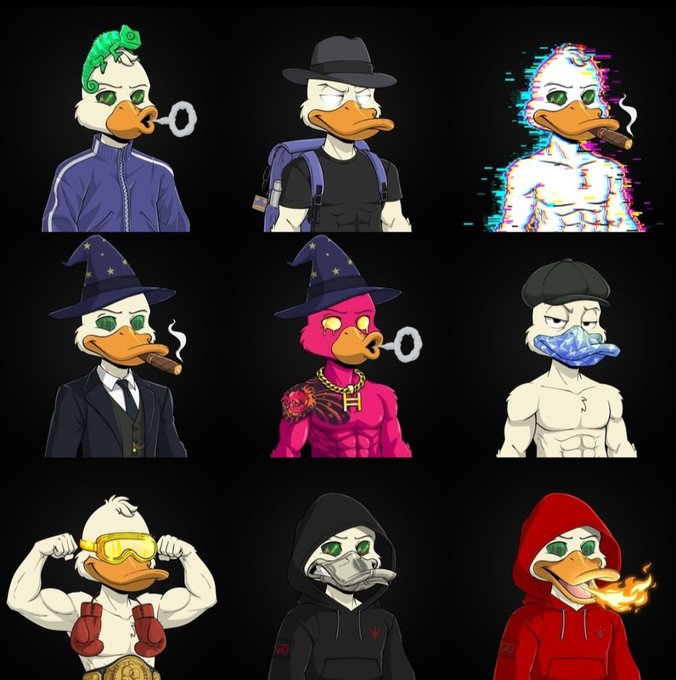 A grid of nine stylized duck NFT characters in various outfits and themes, including a green-haired duck, a fedora-wearing duck, a glitch-effect duck, a wizard duck, a pink duck with an 'H' chain, a masked duck, a muscular duck with goggles, a hooded duck, and a red-hooded duck with fire breath.