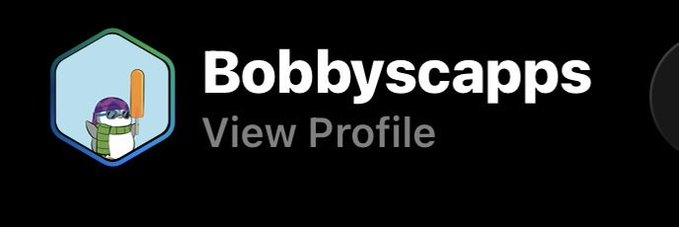Profile header for 'Bobbyscapps' featuring a hexagonal avatar with a cartoon character holding a baseball bat, displayed on a black background.