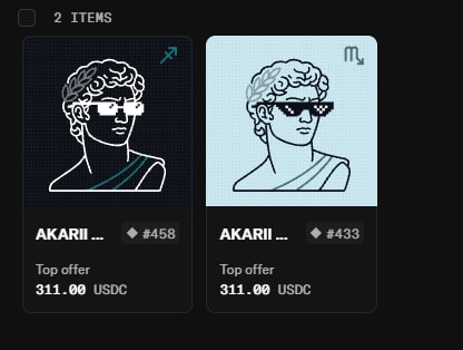 A digital marketplace listing showing 2 NFT items called AKARII priced at 311.00 USDC each, with top offers of #458 and #433.
