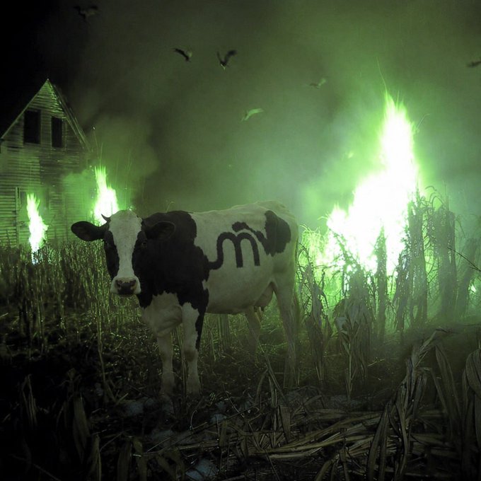Surreal artwork depicting a black and white cow with the word 'SMÍ' on its side standing in a cornfield at night, illuminated by eerie green flames with an abandoned house and flying birds in the background.