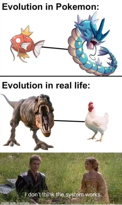 A meme comparing 'Evolution in Pokemon' (showing Magikarp to Gyarados) with 'Evolution in real life' (showing a T-Rex to a chicken), featuring Anakin and Padmé from Star Wars with the caption 'I don't think the system works.'