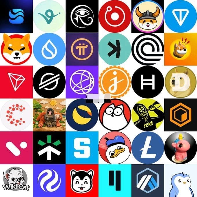 A grid collage of cryptocurrency logos including Bitcoin, Ethereum, Pi Network, Shiba Inu, Dogecoin, Dash, Litecoin, Solana, Stellar, Polkadot, Chainlink, and various other blockchain project icons, illustrating the many competing crypto projects enthusiasts might be asked to choose from.

The image visually represents the wide variety of crypto options available, directly relating to the post's question by showing numerous well-known coins (BTC, ETH, DOGE, SHIB, PI, SOL, etc.) that people still hold faith in.