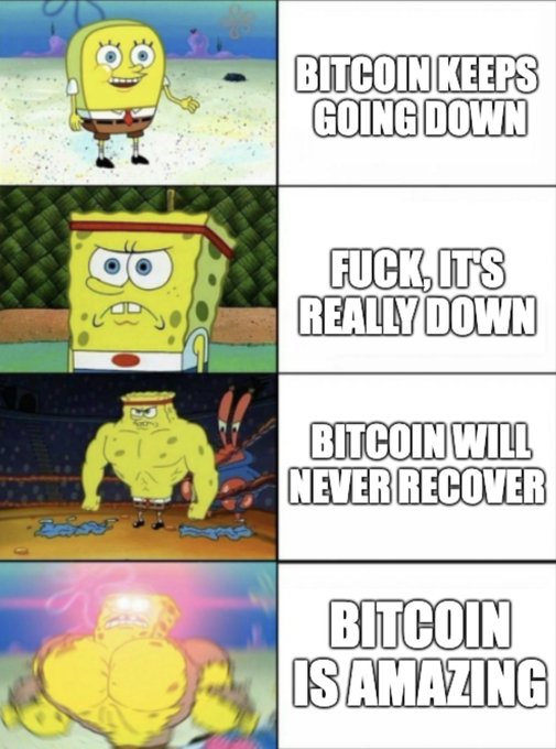 A four-panel SpongeBob increasingly-strong SpongeBob meme about Bitcoin: 'BITCOIN KEEPS GOING DOWN,' 'FUCK, IT'S REALLY DOWN,' 'BITCOIN WILL NEVER RECOVER,' 'BITCOIN IS AMAZING.'