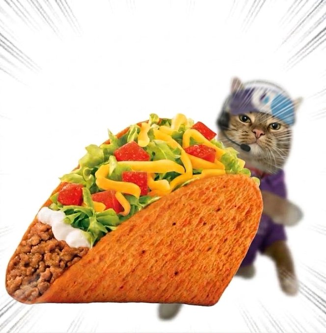 The image features a cartoon cat wearing a helmet, standing next to an orange taco that has been cut open. The cat appears to be running towards the camera while holding onto the taco. The caption of the image reads "gm. taco liquidity unlocked fr cat runs Treasury". This phrase is likely a reference to the popular video game "Turtlebank", where players can collect and use virtual currency called "taco liquidity" to purchase items in the game world, such as food or other resources.