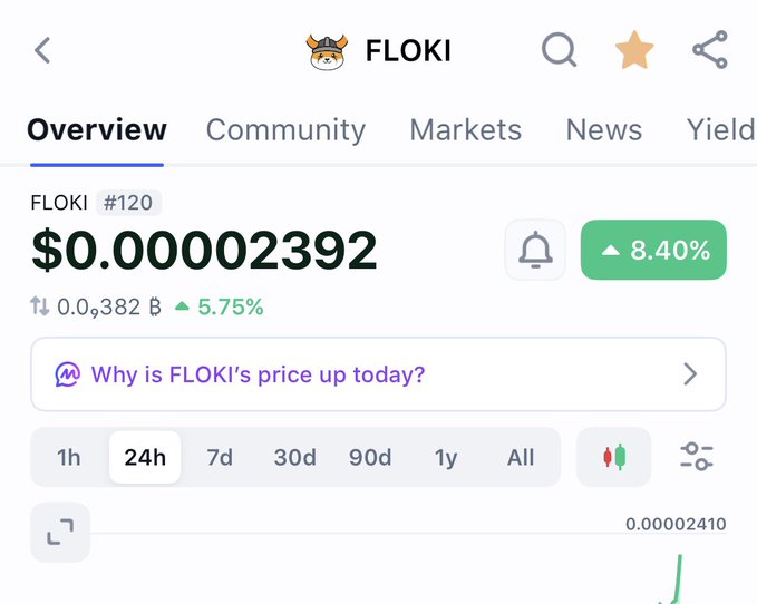 A cryptocurrency tracking app displaying FLOKI coin overview with a price of $0.00002392, up 8.40% in 24h, ranked #120, with trading volume of $382M.