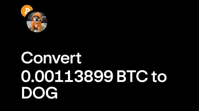 Screenshot showing a profile icon of a Shiba Inu in an orange hoodie with a Bitcoin logo, with text reading 'Convert 0.00113899 BTC to DOG'.
